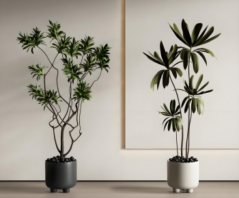 Modern Ground Green Plant Potted Plants-ID:458983902