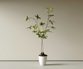 Modern Ground Green Plant Potted Plants-ID:210592032