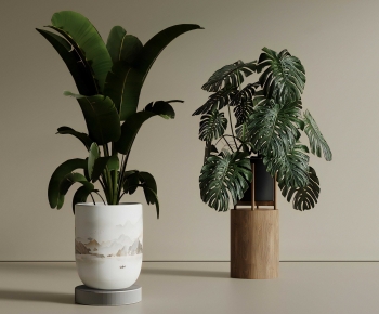 New Chinese Style Ground Green Plant Potted Plants-ID:528919752