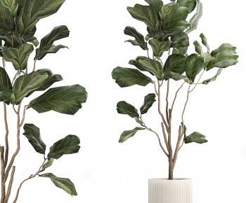 Modern Ground Green Plant Potted Plants-ID:489722014