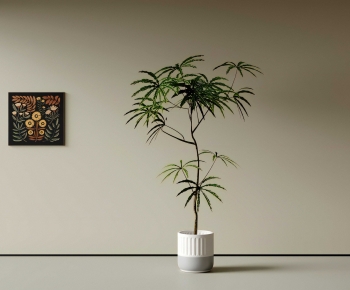 Modern Ground Green Plant Potted Plants-ID:559289545
