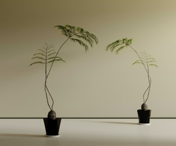 Wabi-sabi Style Ground Green Plant Potted Plants-ID:852874045