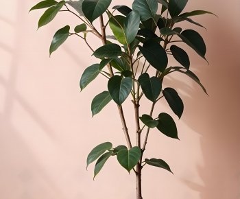 Modern Ground Green Plant Potted Plants-ID:928571947