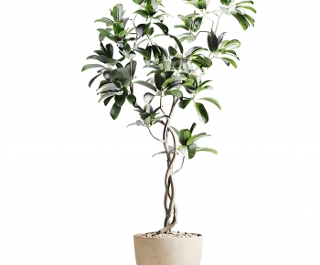 New Chinese Style Ground Green Plant Potted Plants-ID:942299482