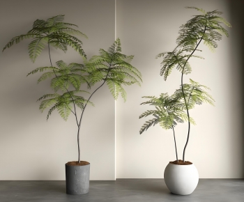 Modern Ground Green Plant Potted Plants-ID:699929008