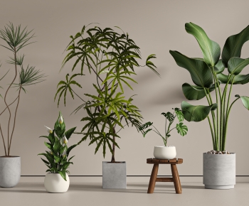 Modern Ground Green Plant Potted Plants-ID:181483031