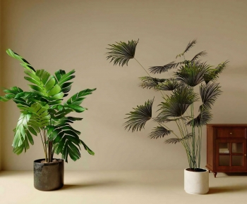 Modern Ground Green Plant Potted Plants-ID:414206983
