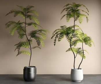 Modern Ground Green Plant Potted Plants-ID:384874118