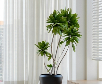 Modern Ground Green Plant Potted Plants-ID:888067963