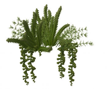 Modern Plant-ID:388081071