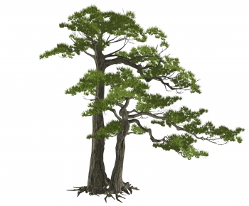 Modern Tree-ID:687165982