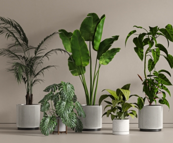 Modern Ground Green Plant Potted Plants-ID:111169109