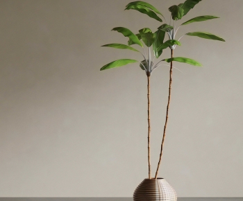 Modern Ground Green Plant Potted Plants-ID:926625977