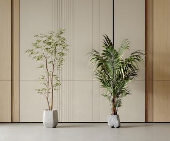 Modern Ground Green Plant Potted Plants-ID:548660867