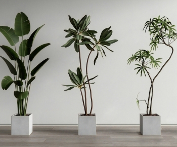 Modern Ground Green Plant Potted Plants-ID:450549139