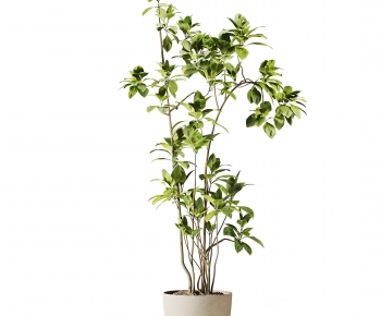 Modern Ground Green Plant Potted Plants-ID:383455049