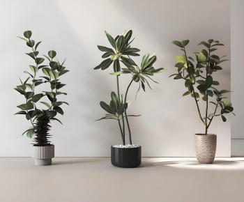 Modern Ground Green Plant Potted Plants-ID:623444085
