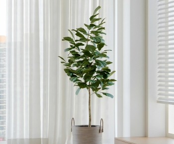 Modern Ground Green Plant Potted Plants-ID:490308054