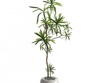 Modern Ground Green Plant Potted Plants-ID:788139102