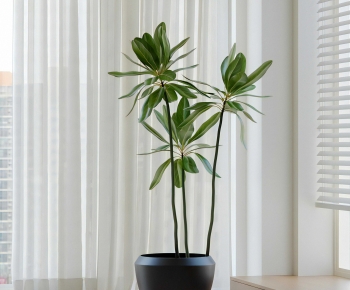 Modern Ground Green Plant Potted Plants-ID:687205081