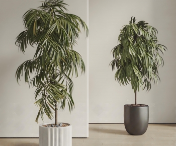 Modern Ground Green Plant Potted Plants-ID:101614003