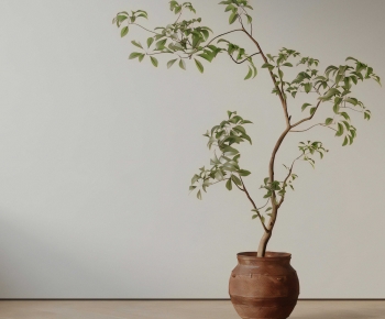 New Chinese Style Ground Green Plant Potted Plants-ID:260078911