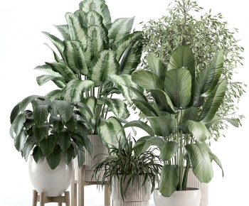 Modern Ground Green Plant Potted Plants-ID:595813995