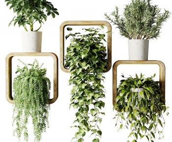 Modern Potted Green Plant-ID:524240975