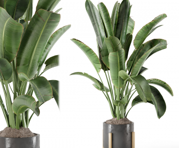 Modern Ground Green Plant Potted Plants-ID:754362111