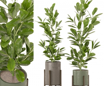 Modern Ground Green Plant Potted Plants-ID:140230771