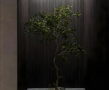 Modern Plant Landscaping-ID:592842105