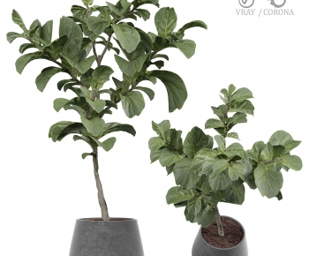 Modern Ground Green Plant Potted Plants-ID:198565968