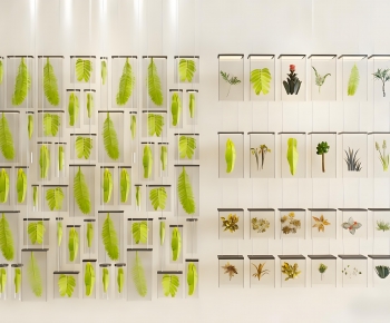 Modern Other-ID:888431178