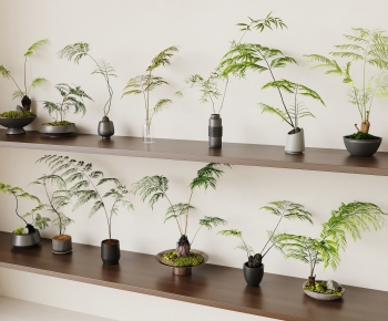 Modern Potted Green Plant-ID:890666967