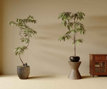 Modern Ground Green Plant Potted Plants-ID:420746095