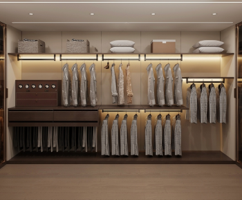 Modern Clothes Storage Area-ID:741811993