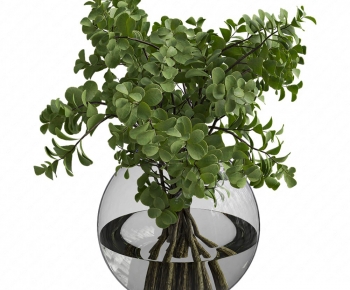 Modern Aquatic Green Plant-ID:327334888