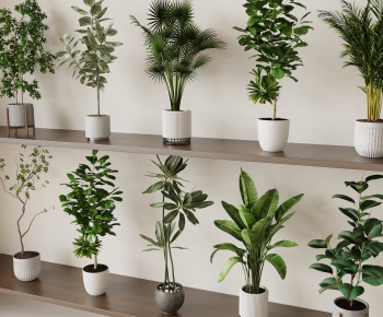 Modern Ground Green Plant Potted Plants-ID:108939891