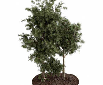 Modern Tree-ID:384506949