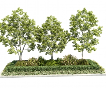 Modern Flower Bed, Flower Bowl, Flower Box-ID:966169121