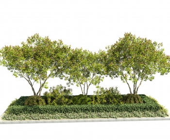 Modern Flower Bed, Flower Bowl, Flower Box-ID:157771167