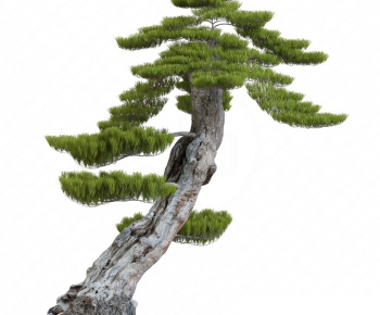 New Chinese Style Tree-ID:954251055