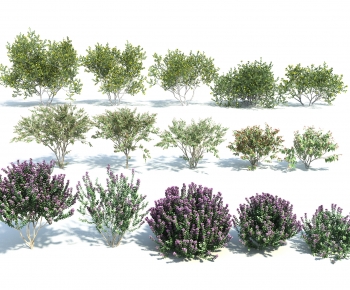 Modern Shrubbery-ID:390619047