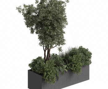 Modern Flower Bed, Flower Bowl, Flower Box-ID:699373016