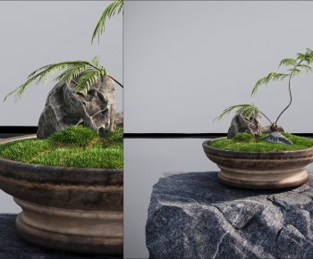 Modern Bonsai-ID:662405972