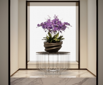 Modern Bonsai-ID:566618925