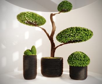 Modern Ground Green Plant Potted Plants-ID:443511967