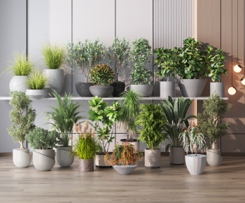 Modern Potted Green Plant-ID:127210648