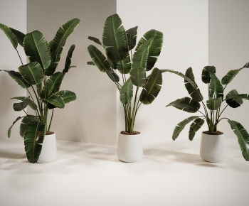 Modern Ground Green Plant Potted Plants-ID:783117063