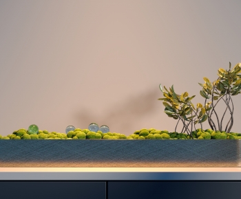 Modern Plant Landscaping-ID:483700044